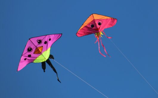 bill-fairs-8IkmJP3BONc-unsplash