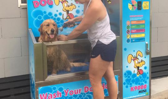 K9 Dog Wash